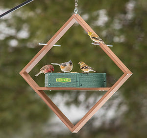 Duncraft Hexagon Hanging Twirl Platform Feeder with birds feeding on metal perches and seed tray, featuring durable recycled materials and metal mesh drainage.