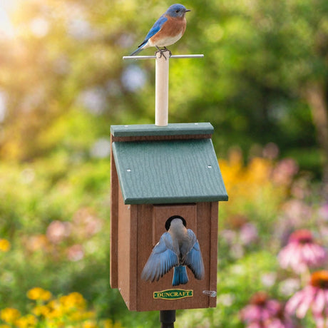 Birdhouse with a bluebird on top against a blurred garden background