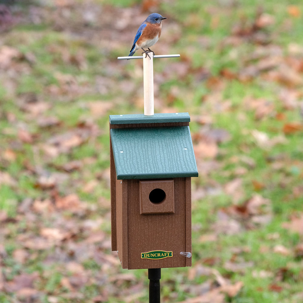 Duncraft Bird-Safe® Perch View Bluebird House & Pole featuring a bluebird perched on the green-roofed birdhouse with lookout perch and sectional mounting pole.