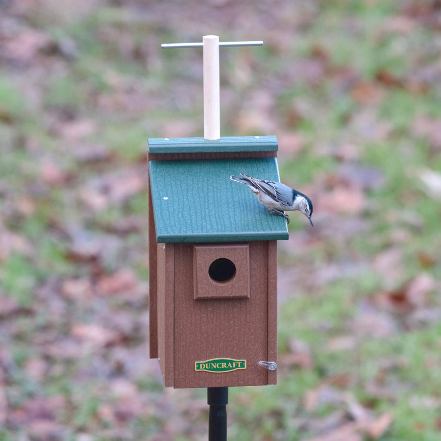 Duncraft Bird-Safe® Perch View Bluebird House & Pole featuring a bird perched on the wooden lookout, mounted on a sectional pole.