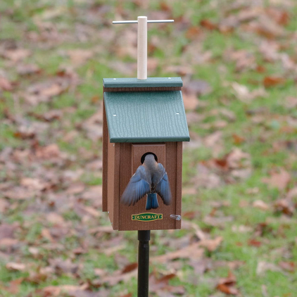 Duncraft Bird-Safe® Perch View Bluebird House & Pole featuring a perched bird in a birdhouse with a lookout perch and sectional pole.