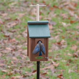 Duncraft Bird-Safe® Perch View Bluebird House & Pole featuring a perched bird in a birdhouse with a lookout perch and sectional pole.