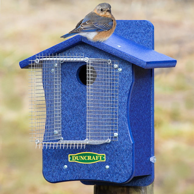 Duncraft Bird-Safe® EZ Observation Noel Guarded Bluebird House with metal mesh, clearview side panel, and overhanging roof, designed to protect bluebirds from predators.