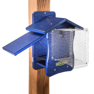 Duncraft Bird-Safe® EZ Observation Noel Guarded Bluebird House mounted on a wooden post, featuring wire mesh flooring and side panels for easy observation and cleanout.