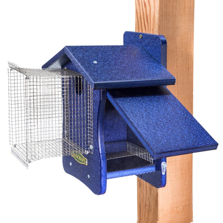 Duncraft Bird-Safe® EZ Observation Noel Guarded Bluebird House on a wood post, featuring wire mesh flooring and clearview side panel for easy observation and cleanout.