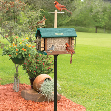 Duncraft Morning Song Post Hopper & Pole feeder with birds perched and feeding, featuring dual seed trays, suet holders, and a wooden lookout perch.