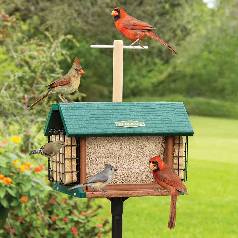 Duncraft Exclusive Bird Feeders, Houses, Seed & More