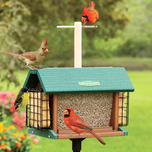 Duncraft Morning Song Post Hopper & Pole with birds feeding from the wooden perch and seed trays, showcasing the durable construction and sectional mounting pole.