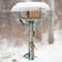 Duncraft Quadruple Sheltered Suet & Tube Feeder with birds feeding on suet cakes and seeds, featuring clear weather guard and six metal feeding ports.