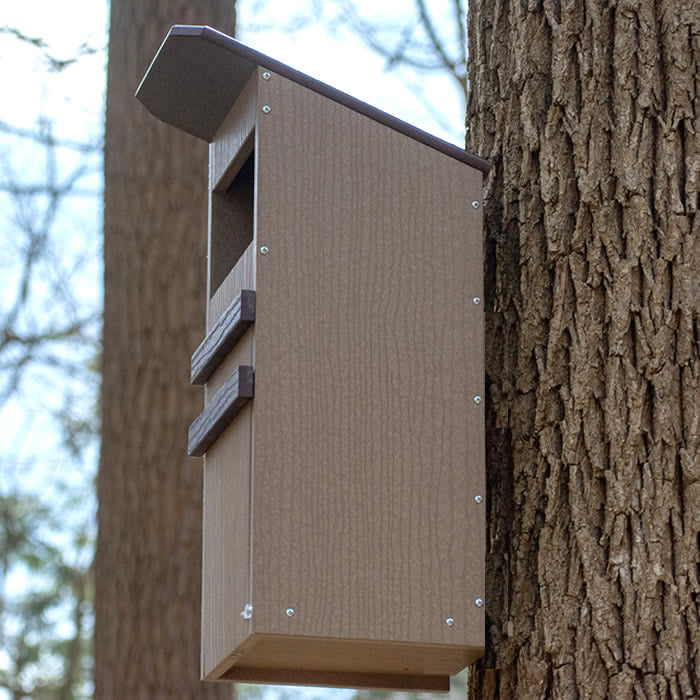 Duncraft Screech Owl Nesting Box mounted on a tree, featuring a slotted entry hole, ventilation, and fledgling ladder.