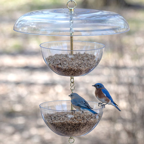 Duncraft Tilt-Top Bluebird Paradise Feeder with two bowls, features two birds feeding, squirrel-proof tilt-top design, and clearview plastic construction.