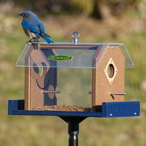 Duncraft Protected Bluebird Haven Feeder with Pole, featuring a bluebird perched on a metal bar, enclosed feeder, predator guards, clear sides, and aluminum perches.