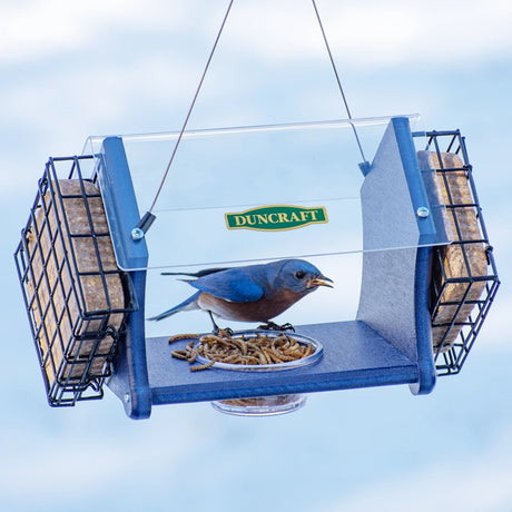 Duncraft Eco-Delight Bluebird Feeder in blue, featuring a 5 oz. dish for mealworms, two suet cake holders, and a clear plastic roof for weather protection.