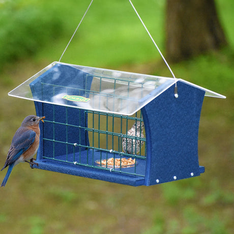 Duncraft Blocker Bluebird Feeder with a bluebird perched outside, featuring a blue-framed cage, clear plastic roof, and a mealworm dish inside.