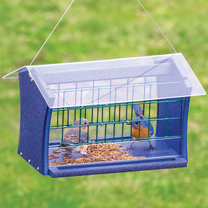 Duncraft Blocker Bluebird Feeder with clearview plastic roof, wire openings, and built-in perches, designed to hold dried mealworms and restrict access to larger birds.