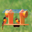 Duncraft Oriole Fruit & Jelly Cafe Feeder with birds perched, featuring built-in perches and a clear plastic roof sheltering the feeder.