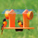 Duncraft Oriole Fruit & Jelly Cafe Feeder with orioles feeding on halved oranges and jelly, featuring a clear roof and durable orange recycled plastic design.