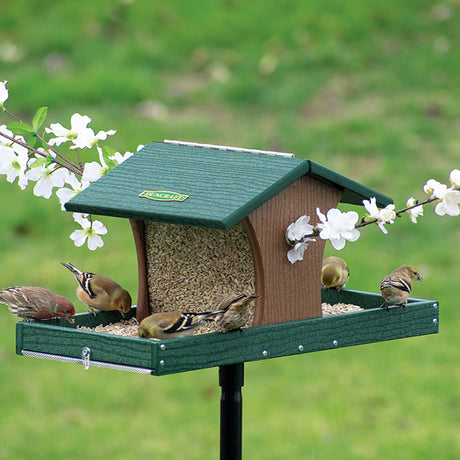 Duncraft Cardinal Landing Tray Feeder with Pole featuring two roomy trays, multiple birds feeding, and metal mesh drainage for easy cleaning.