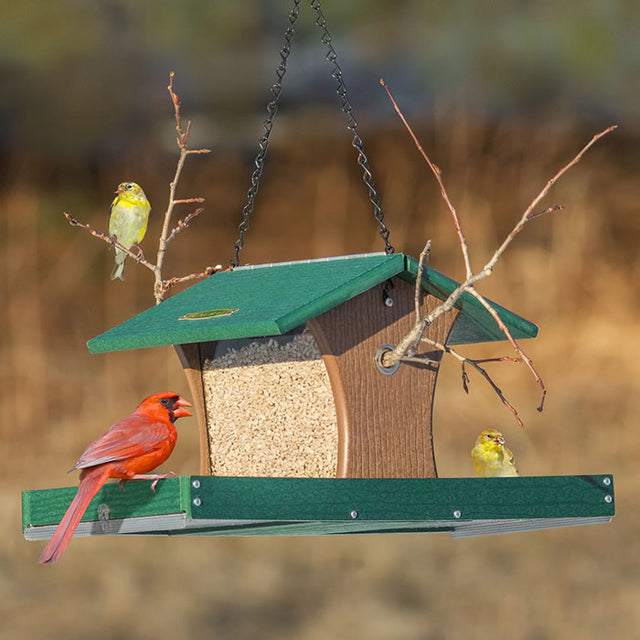 Duncraft Cardinal Landing Tray Feeder with two roomy trays, a red cardinal perched, and additional perching space for large birds.