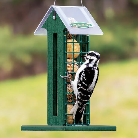 Duncraft Green Arrow Deluxe Suet Ball Feeder with a woodpecker feeding; green house-shaped design, wire mesh grid, clearview roof, cable hanger.