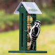 Duncraft Green Arrow Deluxe Suet Ball Feeder with a downy woodpecker perched and feeding from the wire mesh grid.