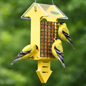 Yellow bird feeder with three yellow birds on a blurred green background