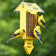 Yellow bird feeder with three yellow birds on a blurred green background
