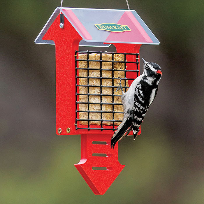 Duncraft Red Arrow Tail Prop Suet Feeder with wire grid and clearview weather guard, designed for easy feeding and bird watching.