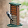 Duncraft Twin Suet Platform Feeder with a male Downy Woodpecker perched, featuring dual suet cake capacity, wire mesh grids, and built-in perches for bird feeding.
