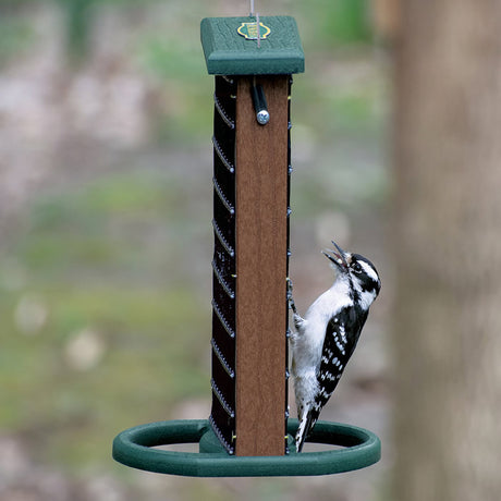 Duncraft Twin Suet Platform Feeder with mesh grids, holding two suet cakes, featuring wide perches and a cable hanger, shown with a woodpecker feeding.