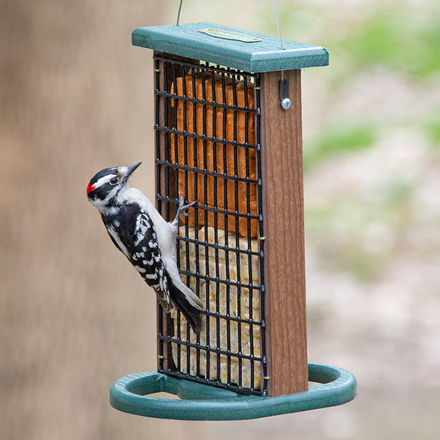 Duncraft Twin Suet Platform Feeder with a black and white woodpecker feeding on one side, showcasing the plastic-coated wire mesh and built-in perches.