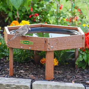 Duncraft Hexagon Ground Birdbath with a small songbird perched on its rim, set in a mulched garden, surrounded by flowers and foliage.