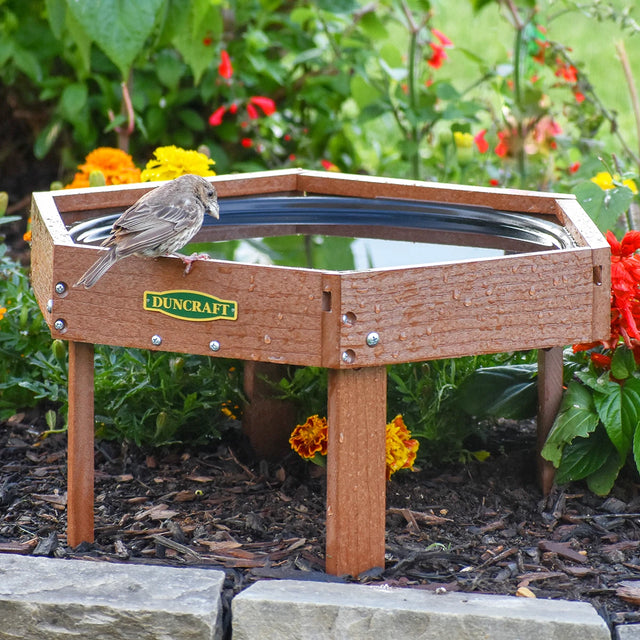 Duncraft Hexagon Ground Birdbath with a small songbird perched on its rim, set in a mulched garden, surrounded by flowers and foliage.