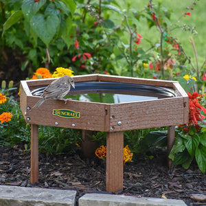 Duncraft Hexagon Ground Birdbath with a bird perched on the edge, surrounded by a garden setting. Durable recycled plastic, perfect for garden bird watching.