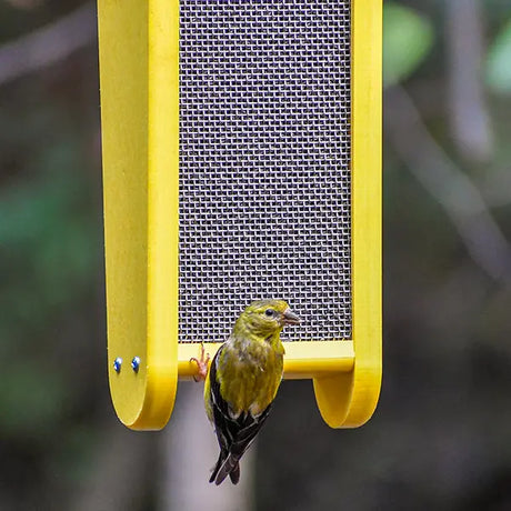 Duncraft Fancy Finch Nyjer® Feeder with yellow frame, metal mesh for finches, and clearview roof, designed for easy feeding and cleaning.
