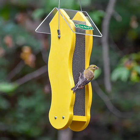 Duncraft Fancy Finch Nyjer® Wave Feeder with wavy mesh design, features a small songbird feeding, showcasing dual-side feeding capability and a protective clearview roof.