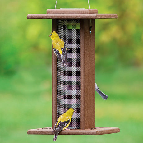 Duncraft Four Winds Nyjer® Feeder with fine-mesh cylinder, clung by two goldfinches. Features durable design, two bottom perches, ideal for year-round bird feeding.