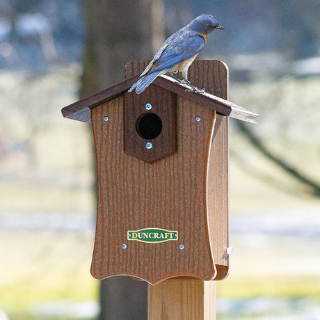 Duncraft Bird-Safe® Fancy Bluebird House with a bluebird perched on top, showcasing double predator guard and side panel for easy cleaning.