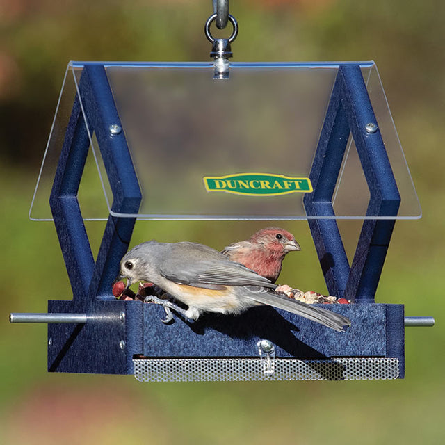 Duncraft Diamond View Feeder with birds feeding; features a clear roof, four wide fly-through openings, and durable blue recycled plastic.