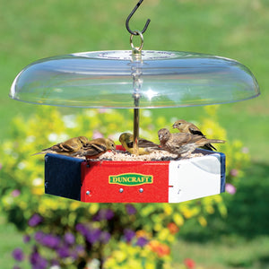 Duncraft Patriot Flight Deck Tilt-Top Feeder with clear dome, stocked with seed, attracting finches, features anti-squirrel tilt baffle and metal mesh drainage.