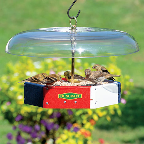Duncraft Patriot Flight Deck Tilt-Top Feeder with clear dome, stocked with seed, attracting finches, features anti-squirrel tilt baffle and metal mesh drainage.