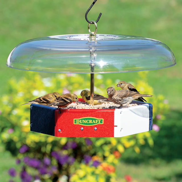 Duncraft Patriot Flight Deck Tilt-Top Feeder with clear dome, stocked with seed, attracting finches, features anti-squirrel tilt baffle and metal mesh drainage.