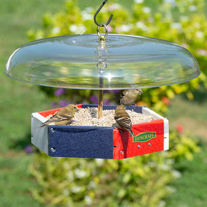 Duncraft Patriot Flight Deck Tilt-Top Feeder showing birds perched and feeding, featuring a clear baffle to deter squirrels and a platform for easy viewing.