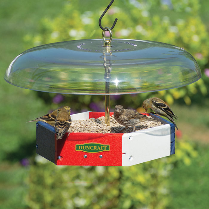 Duncraft Patriot Flight Deck Tilt-Top Feeder with birds feeding, featuring a platform design and Tilt-Top baffle to deter squirrels.