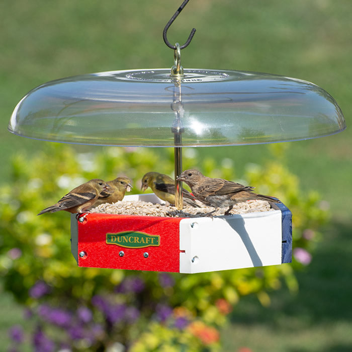 Duncraft Patriot Flight Deck Tilt-Top Feeder with birds feeding, featuring a platform design and a tilting baffle to deter squirrels.