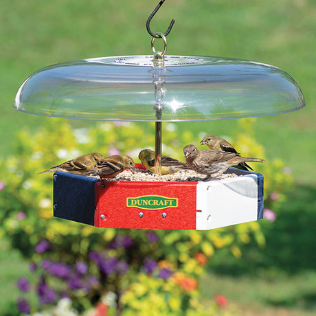 Duncraft Patriot Flight Deck Tilt-Top Feeder with birds perched, showing a clear view platform and squirrel-deterring tilt-top baffle.