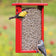 Duncraft Bird-Safe® Sunflower Mesh Feeder with two birds feeding, showcasing its red mesh design and seed capacity in a garden setting.