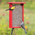 Duncraft Bird-Safe® Sunflower Mesh Feeder with a bird perched on the metal mesh, designed for easy filling and cleaning.