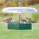 Duncraft Tilt-Top Platform Feeder with clear dome, filled with seeds, hosts finches. Designed to deter squirrels, ensuring only birds enjoy the feast.