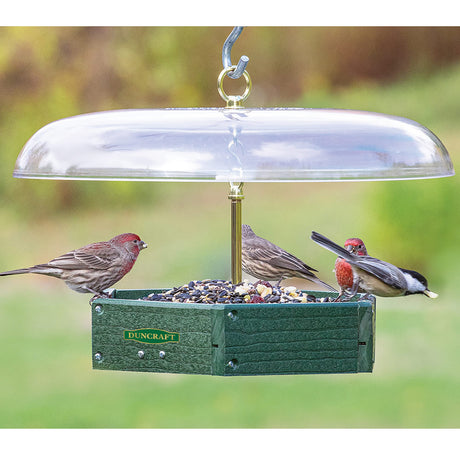 Duncraft Tilt-Top Platform Feeder with birds eating, showcasing its squirrel-proof design and spacious feeding area. Holds 3 lbs. of seed.